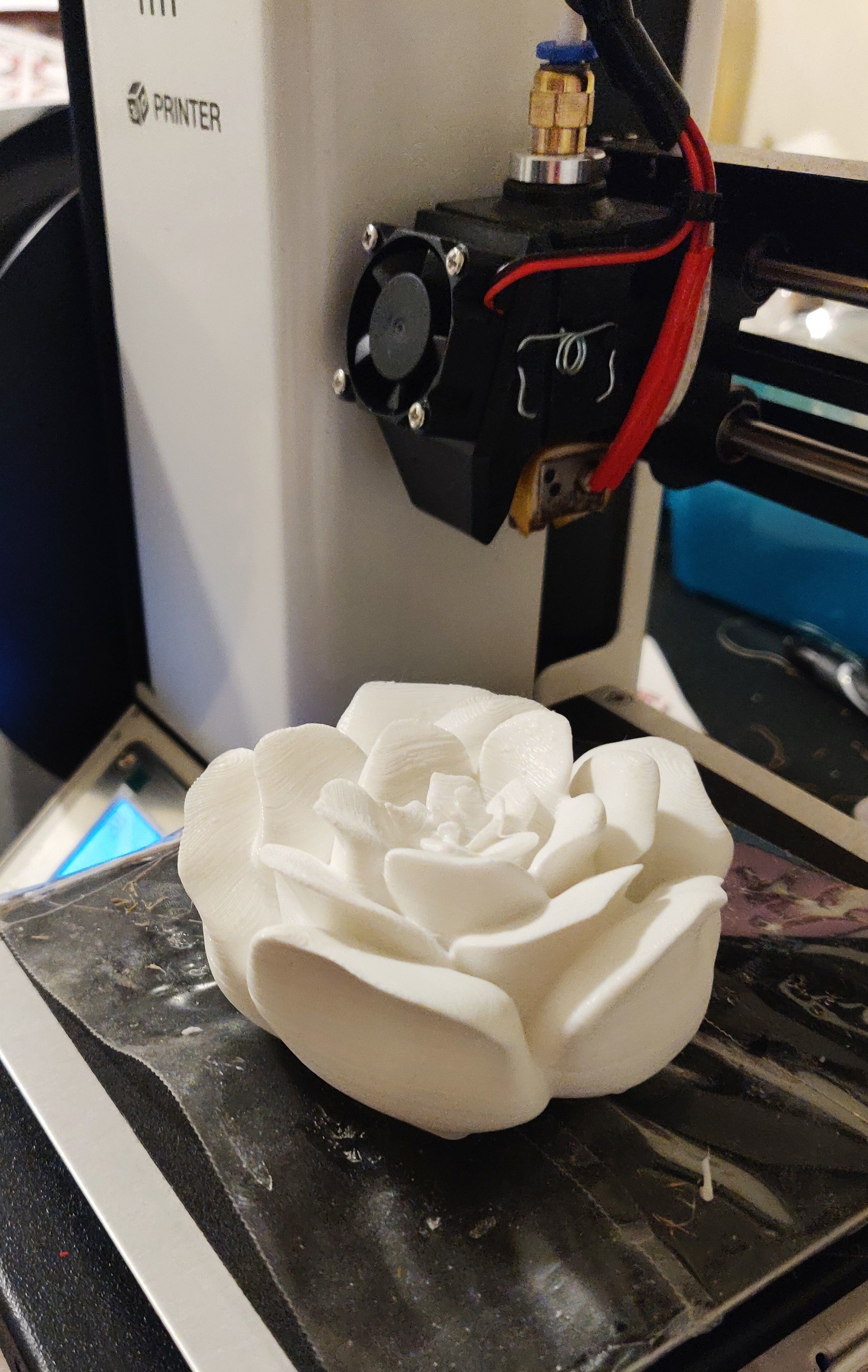 Christmas Rose 3D print model_3