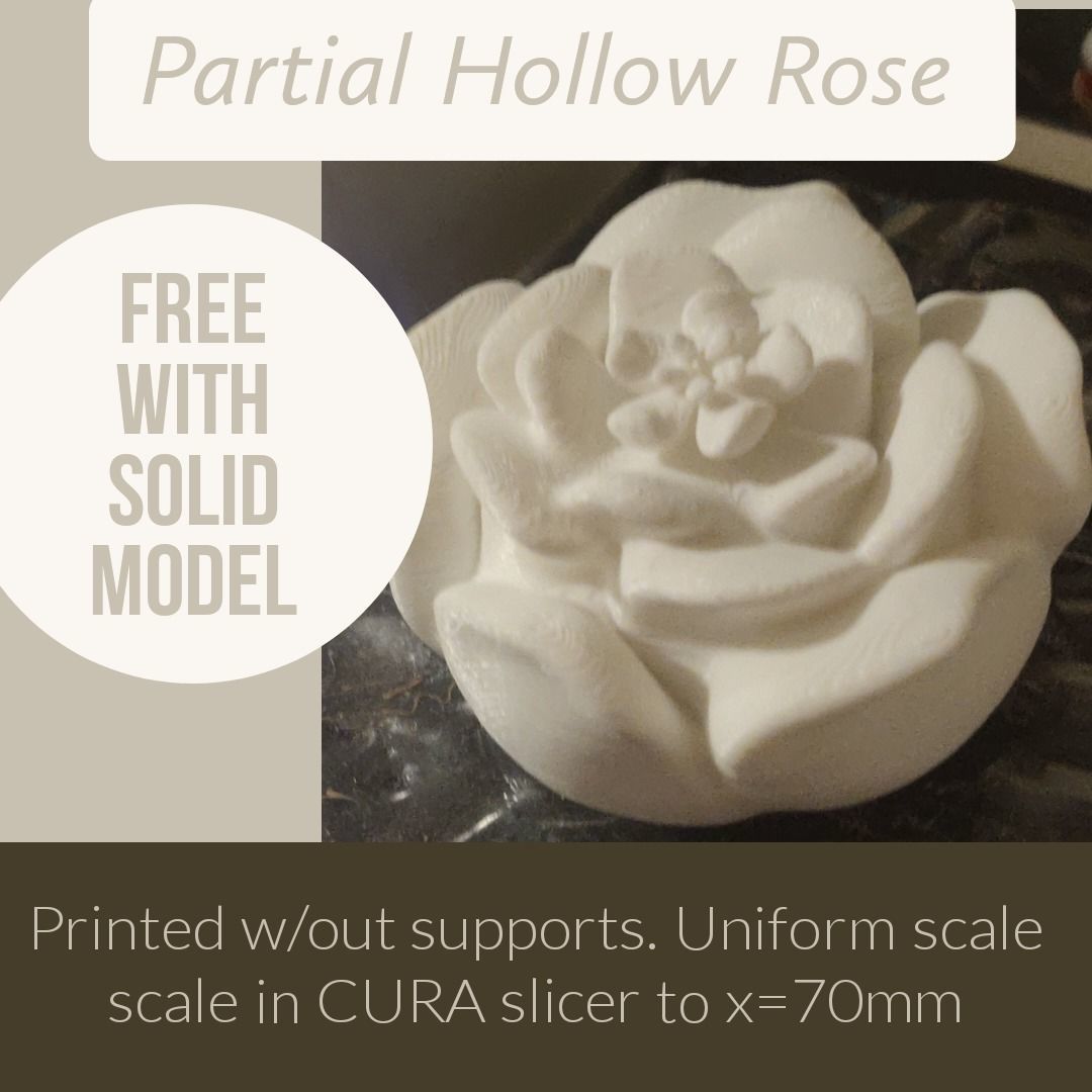 Christmas Rose 3D print model_14