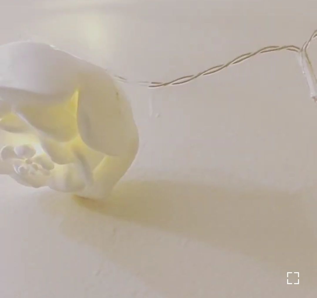 Christmas Rose 3D print model_16