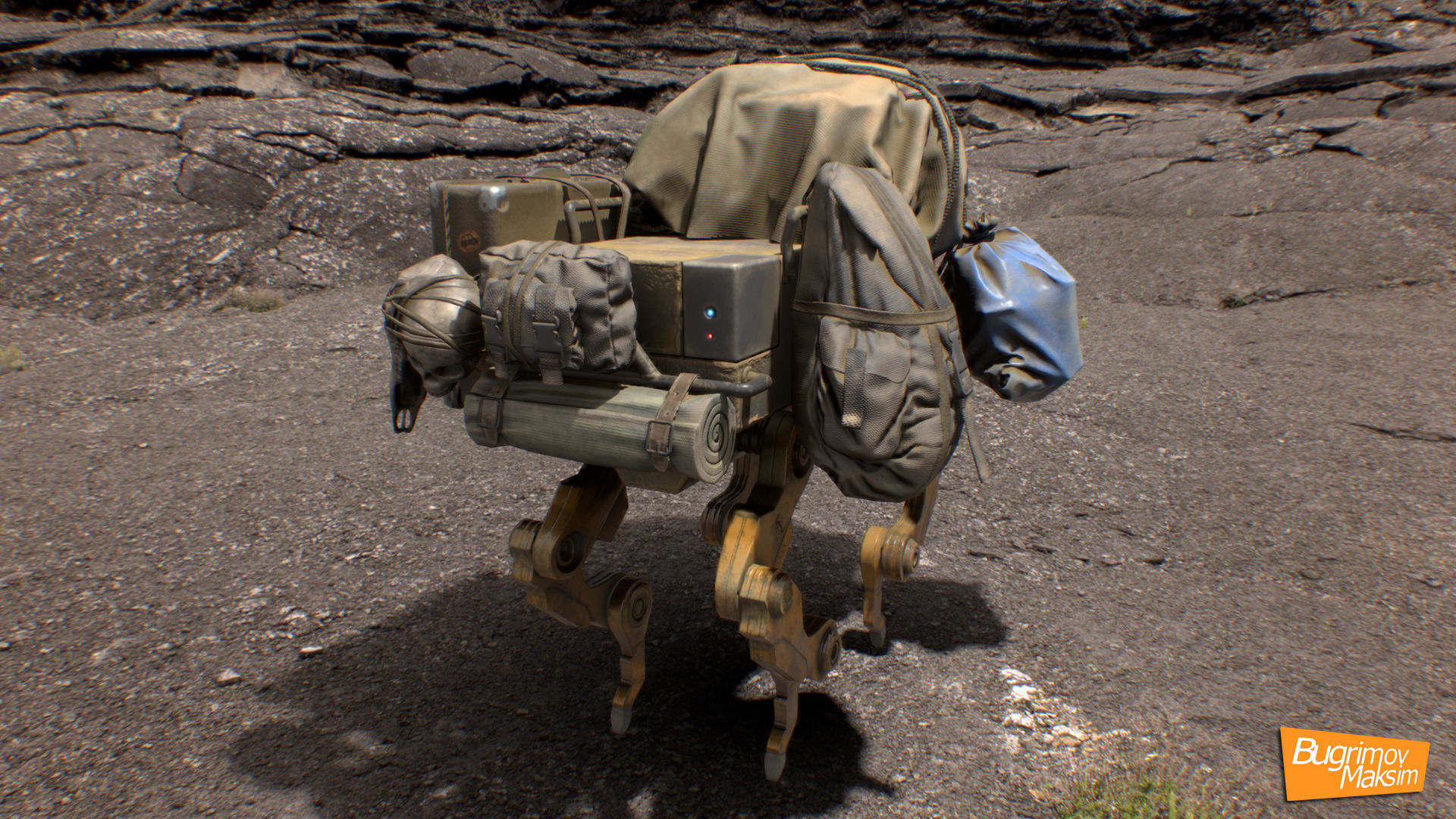 Assistant Dog Low-poly 3D model_3