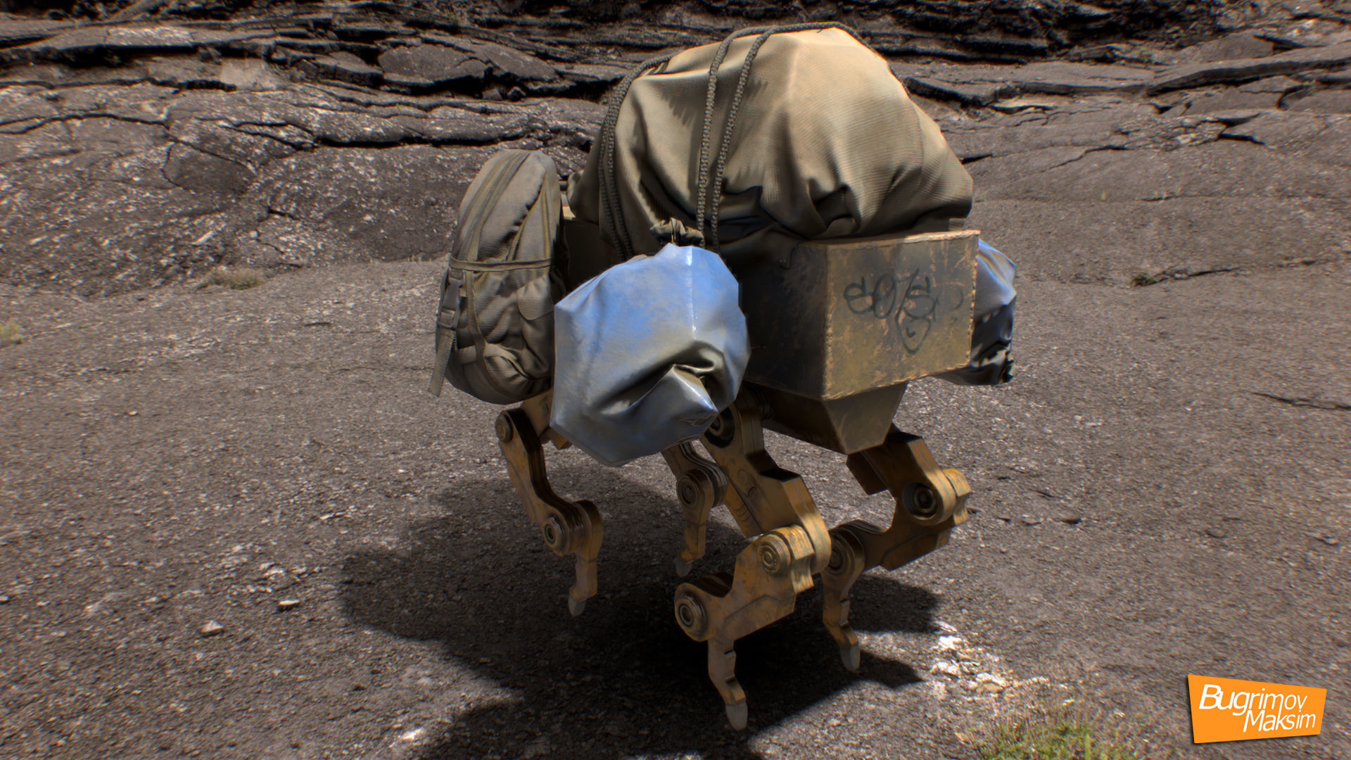 Assistant Dog Low-poly 3D model_4