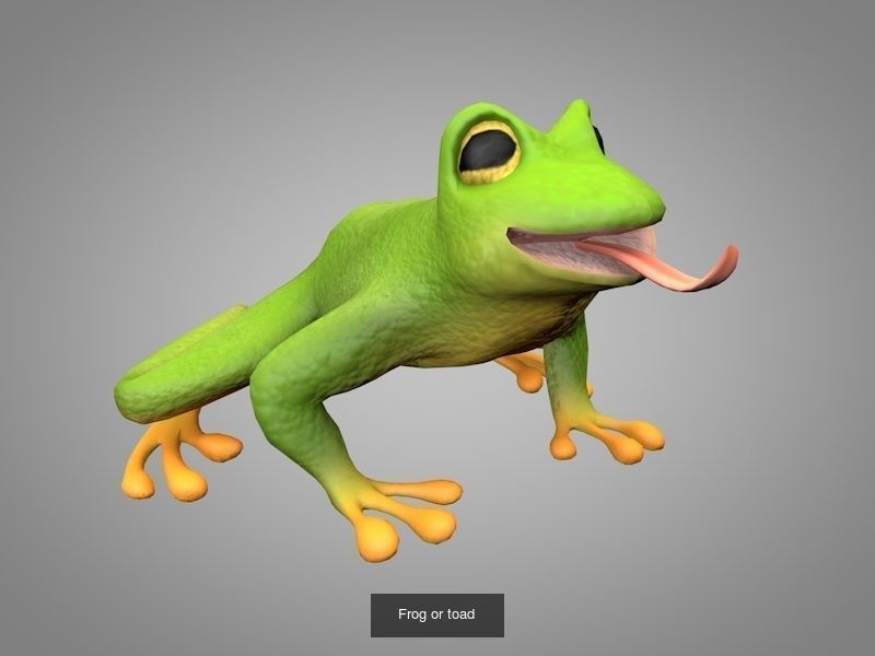 Wild animals 3D Model Collection_1