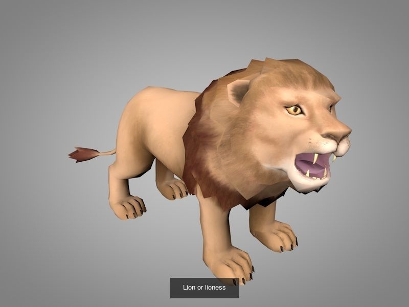 Wild animals 3D Model Collection_11