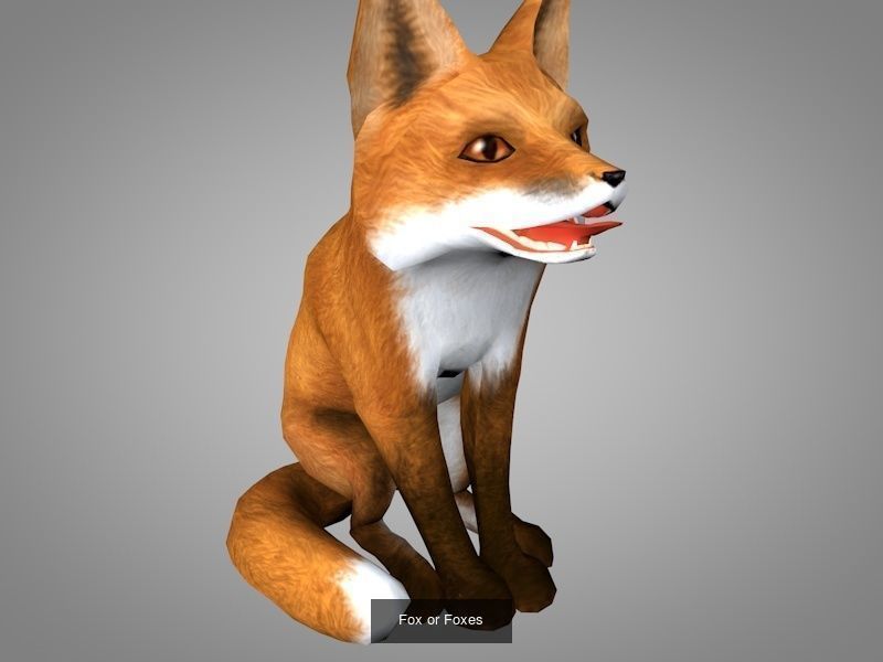 Wild animals 3D Model Collection_9
