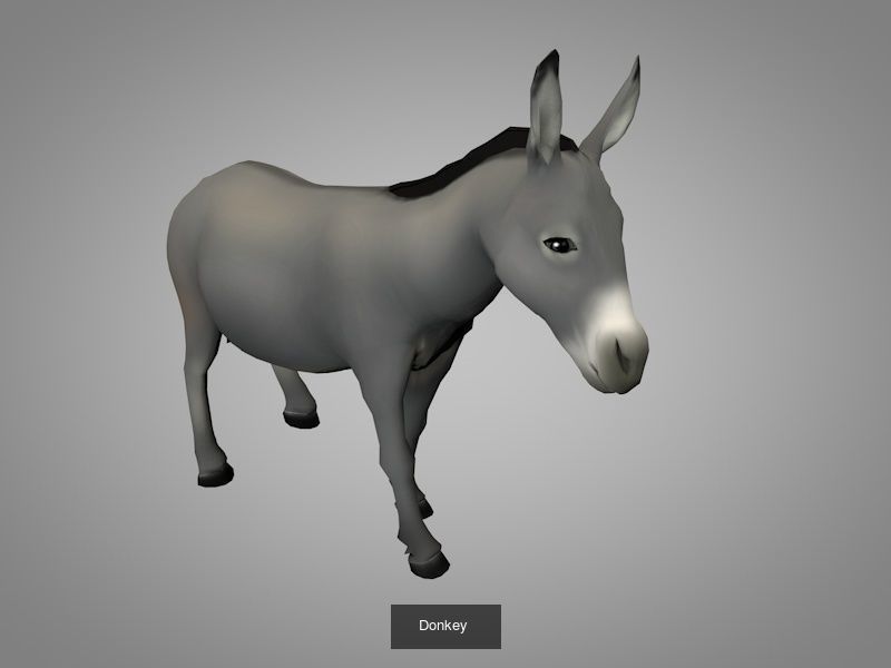 Wild animals 3D Model Collection_3
