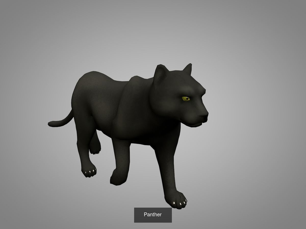 Wild animals 3D Model Collection_13