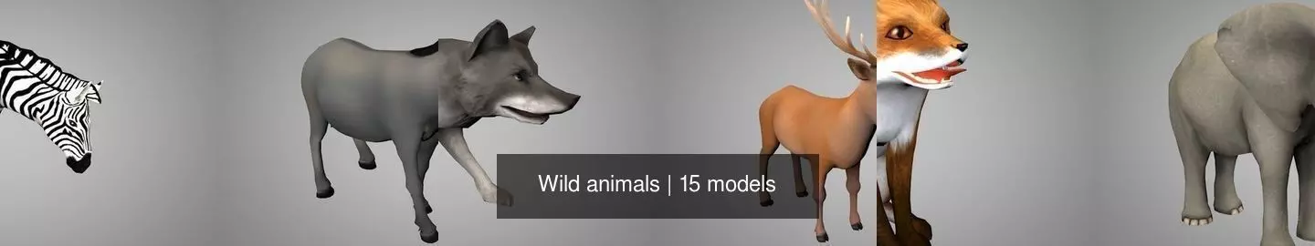 Wild animals 3D Model Collection_0