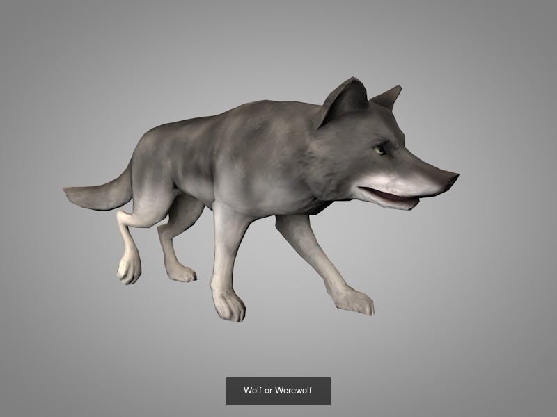 Wild animals 3D Model Collection_6