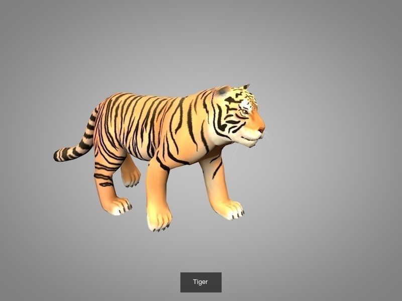 Wild animals 3D Model Collection_5