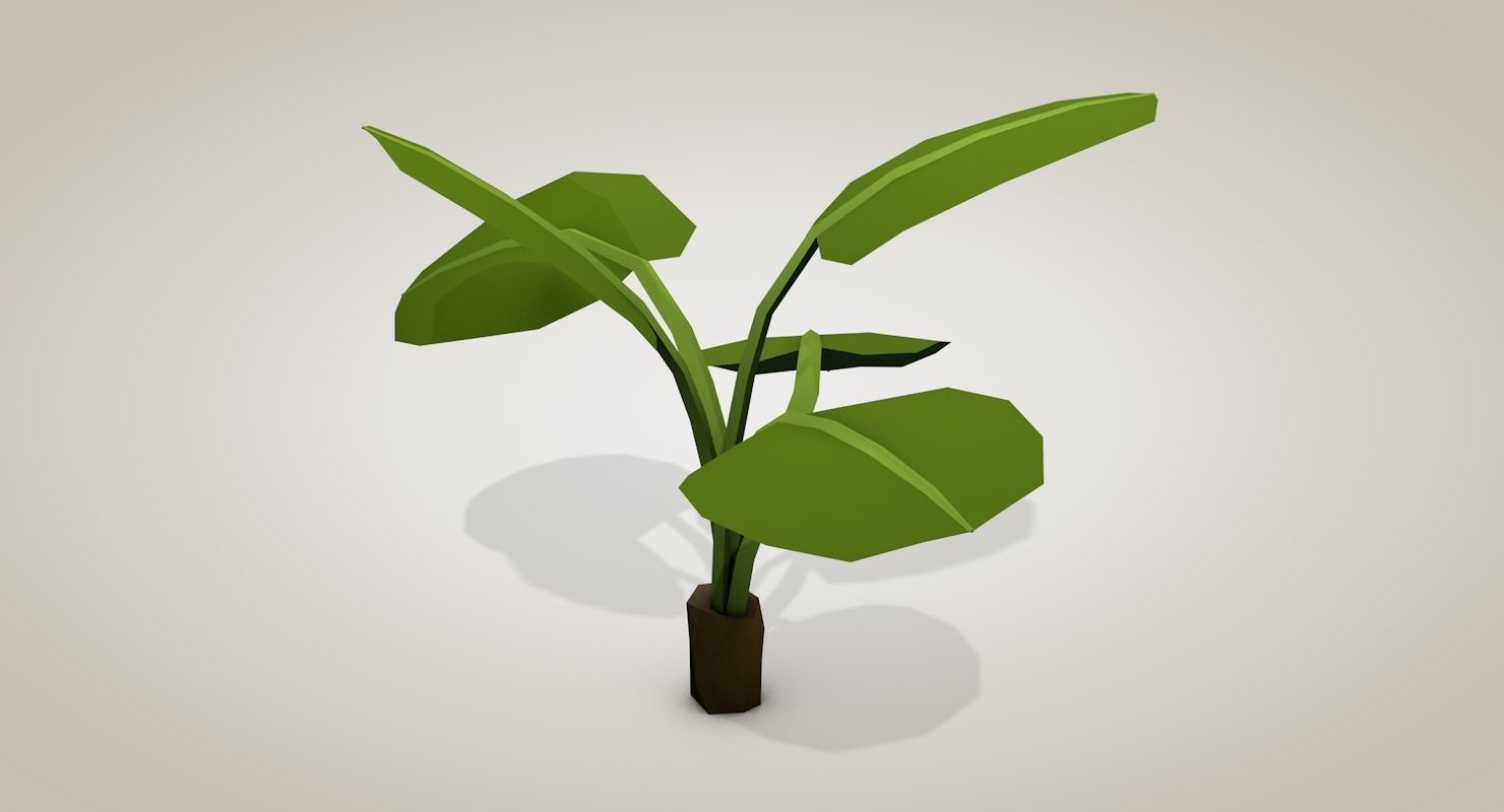 Tropical Bundle 3D model_35