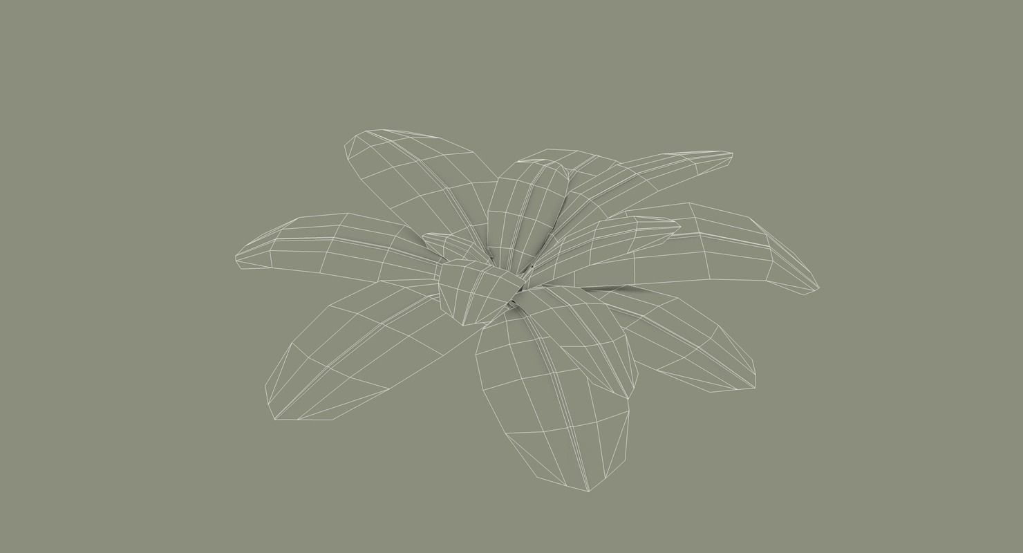 Tropical Bundle 3D model_38