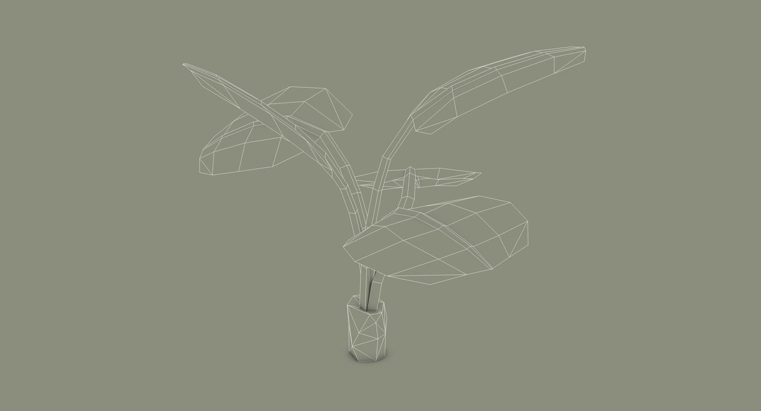 Tropical Bundle 3D model_36