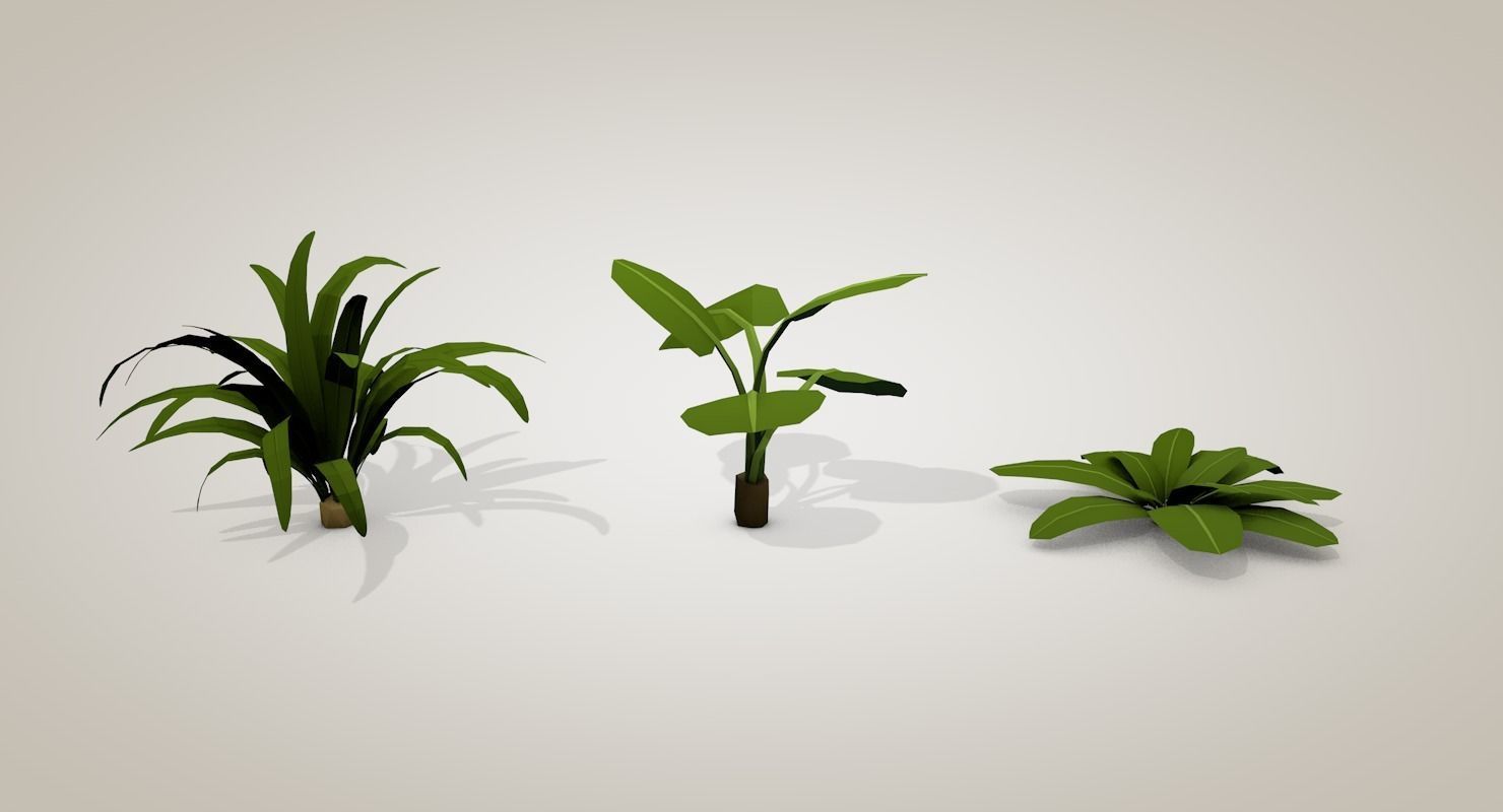 Tropical Bundle 3D model_31