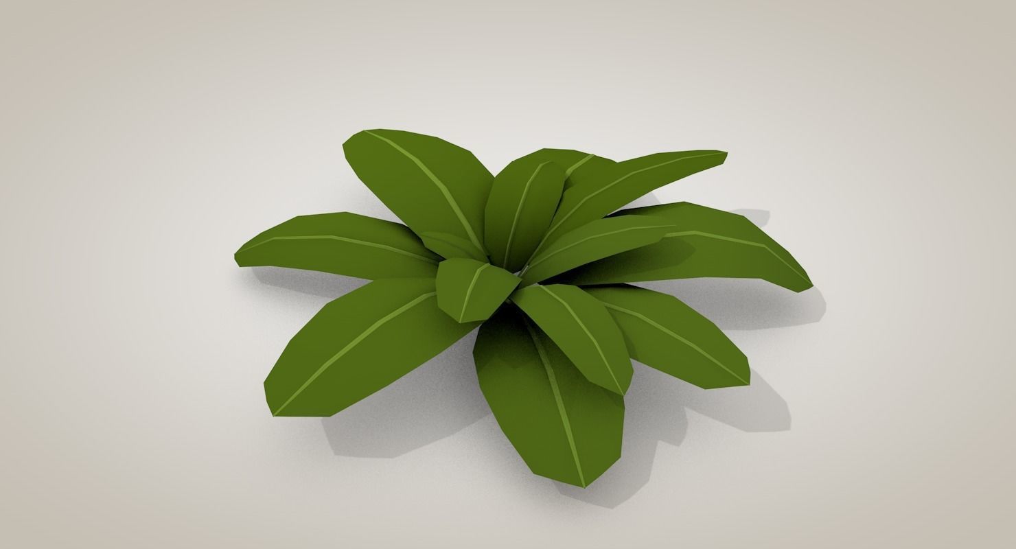 Tropical Bundle 3D model_37
