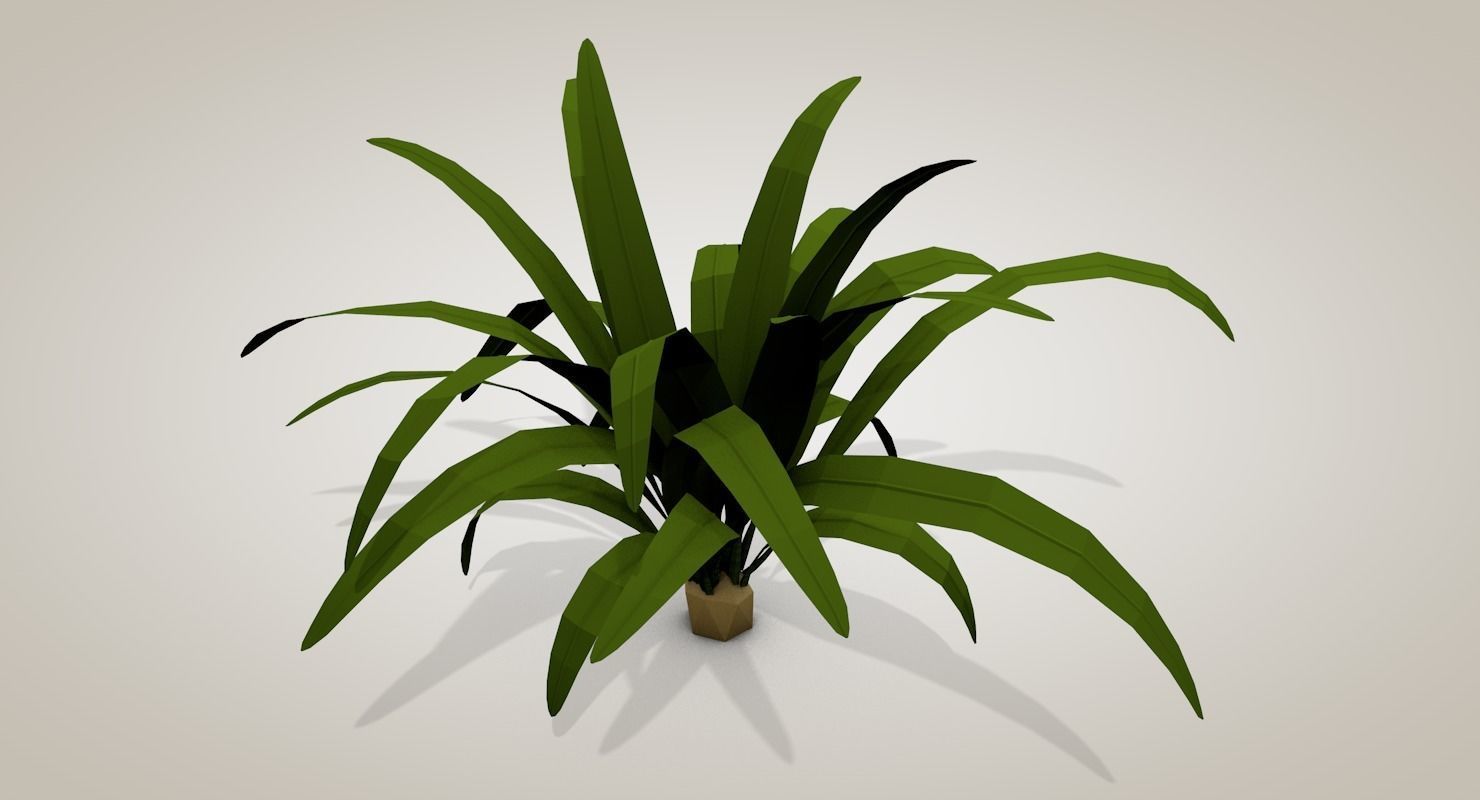 Tropical Bundle 3D model_33