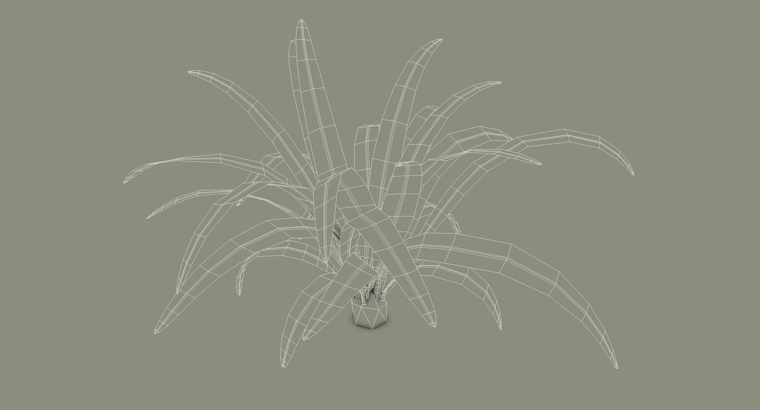 Tropical Bundle 3D model_34