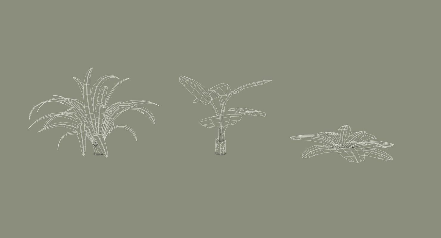 Tropical Bundle 3D model_32