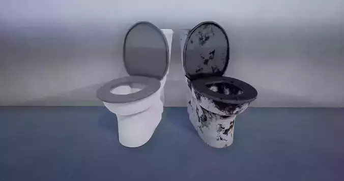 Toilet Common