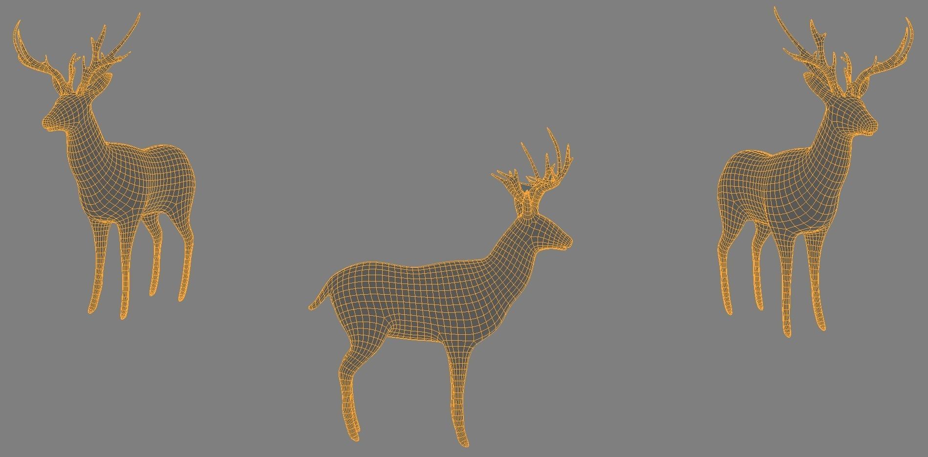 6 Low Poly Base Meshes of Animals Pack 3D Model Collection_12