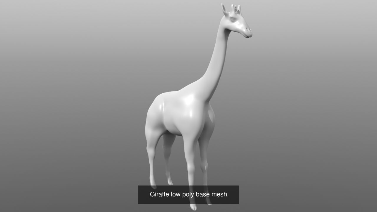 6 Low Poly Base Meshes of Animals Pack 3D Model Collection_5