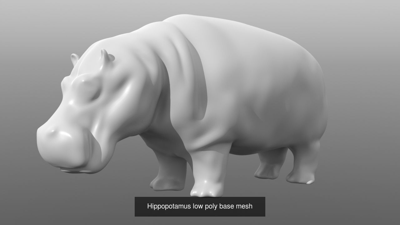 6 Low Poly Base Meshes of Animals Pack 3D Model Collection_6