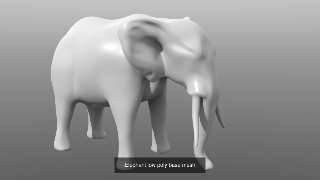 6 Low Poly Base Meshes of Animals Pack 3D Model Collection_4