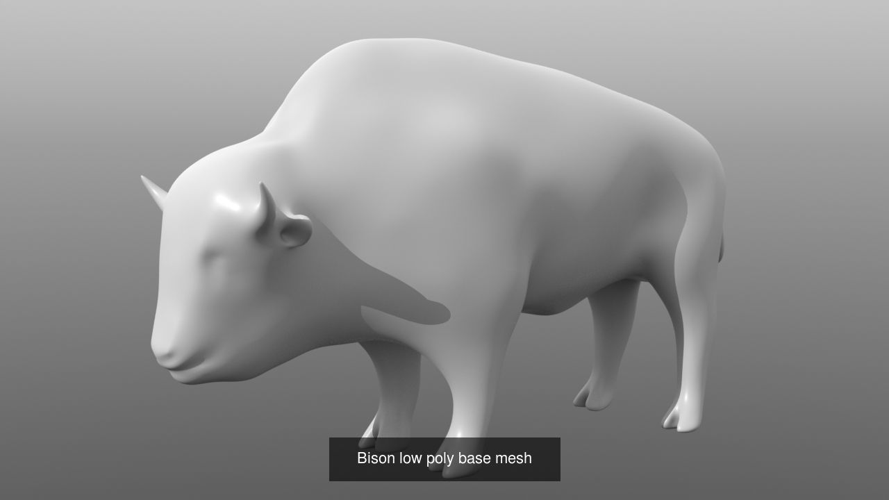 6 Low Poly Base Meshes of Animals Pack 3D Model Collection_3