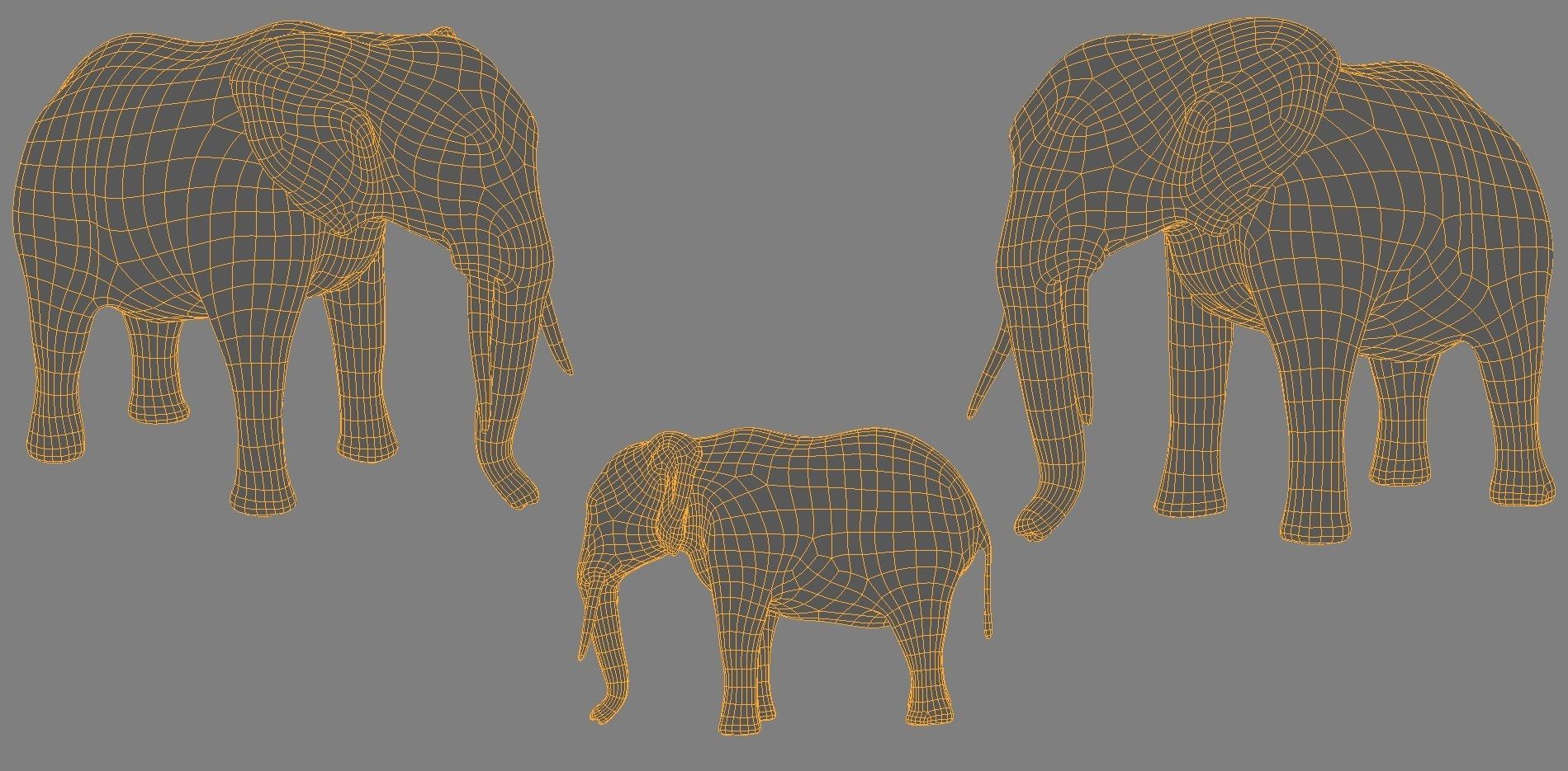 6 Low Poly Base Meshes of Animals Pack 3D Model Collection_30