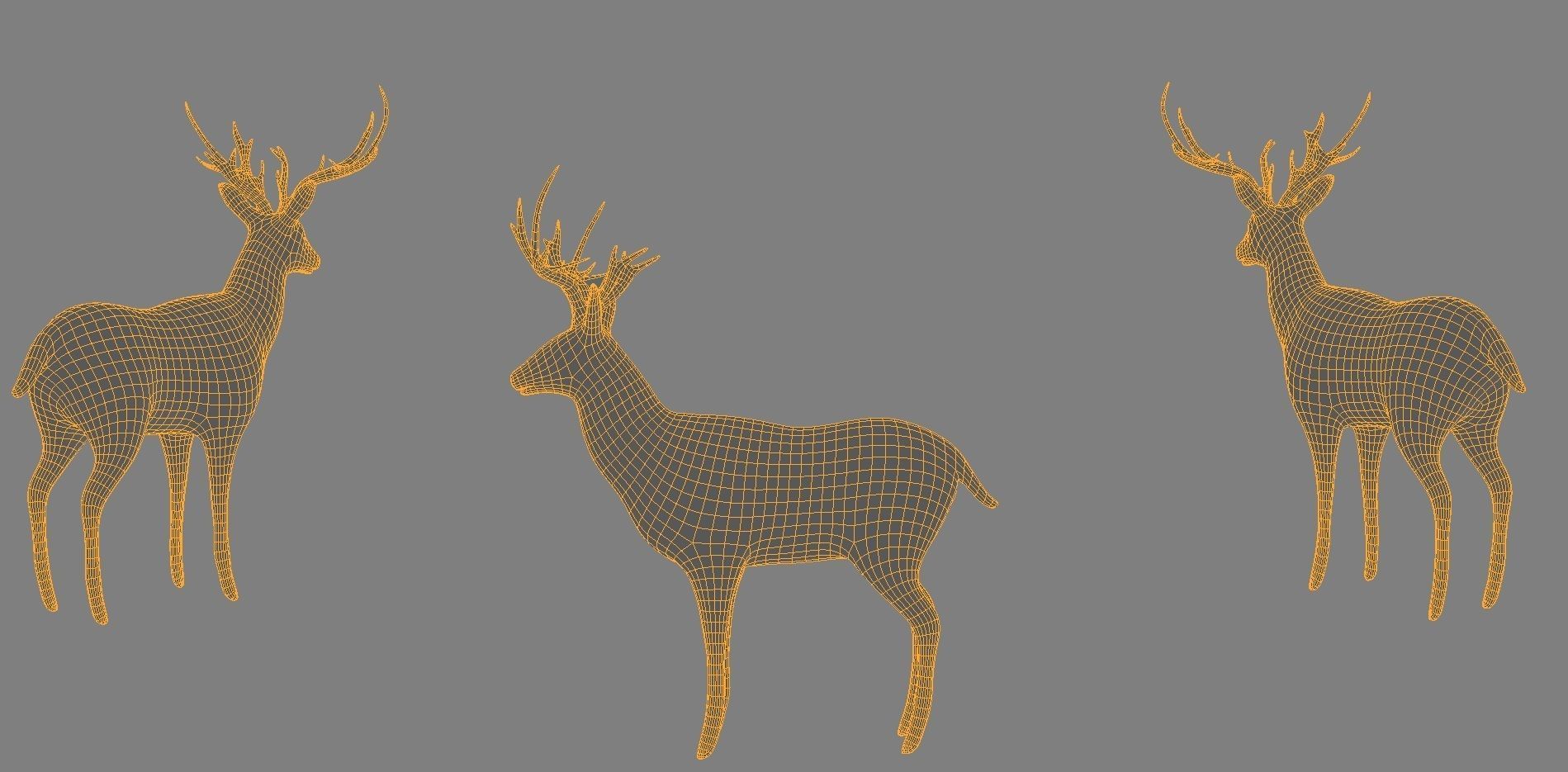 6 Low Poly Base Meshes of Animals Pack 3D Model Collection_13