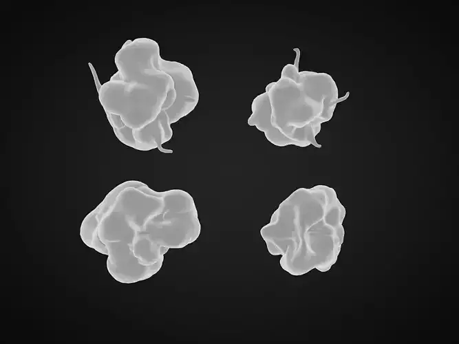 Blood platelet 3D model