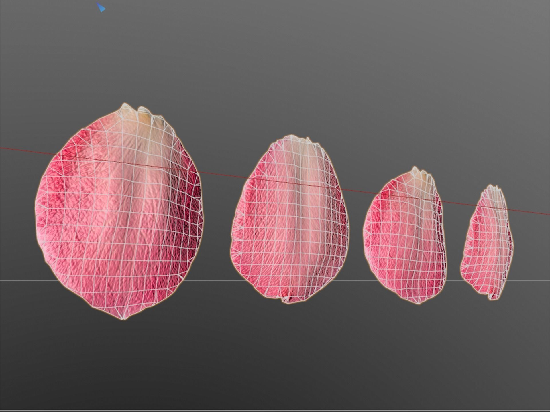 Petals pack 3D model_8