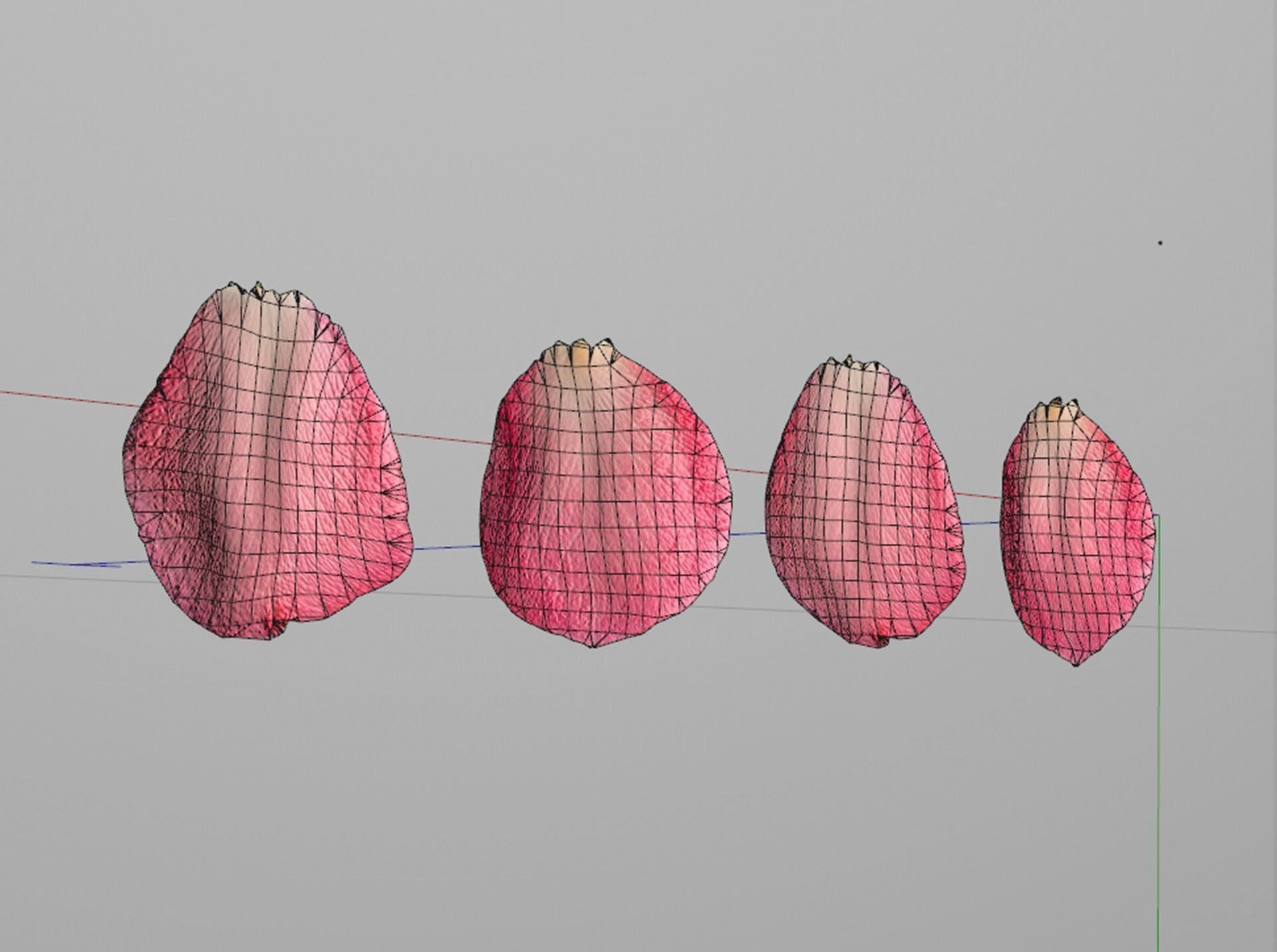 Petals pack 3D model_7