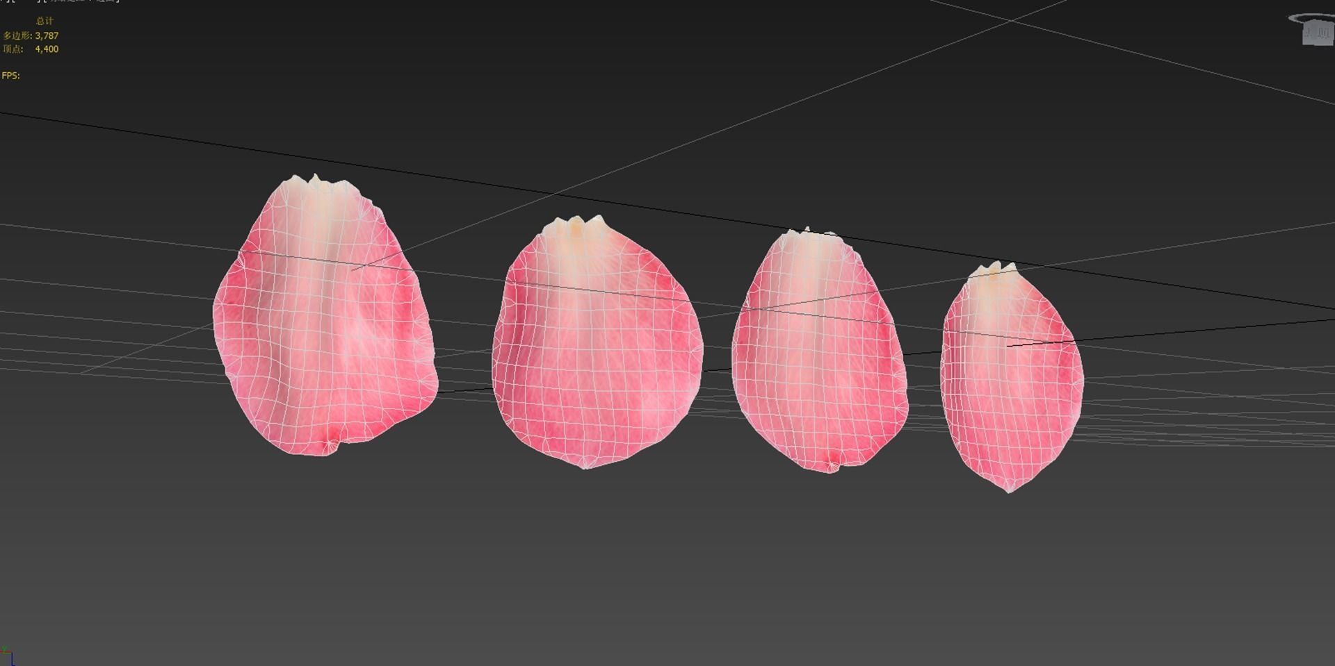 Petals pack 3D model_11