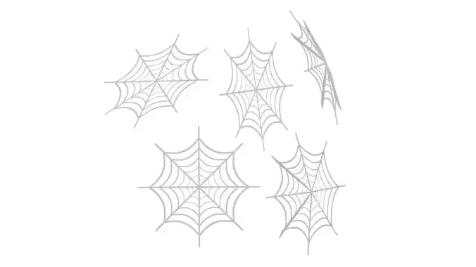 Spider Web 3D model