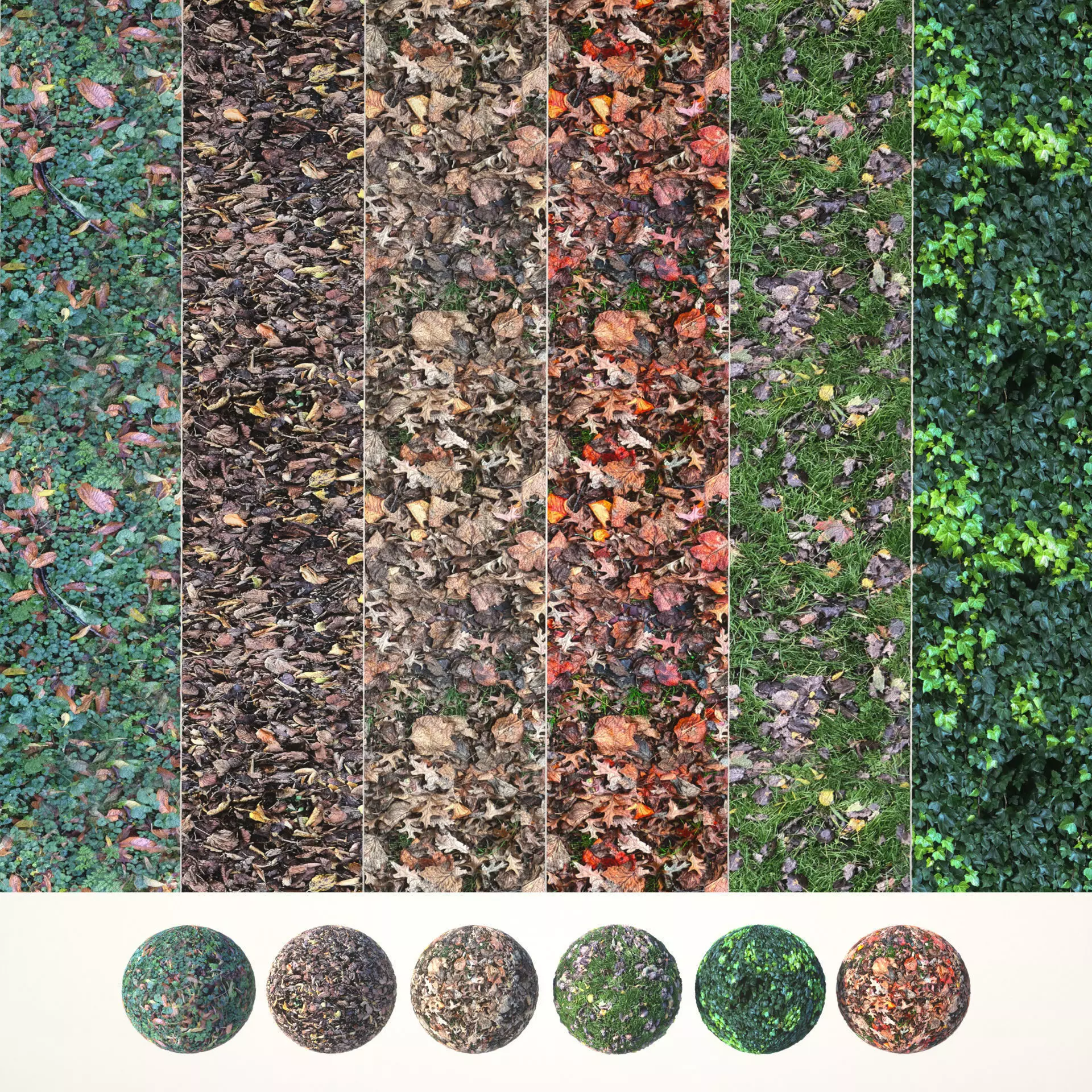 6 Seamless Leaf Material Textures Texture