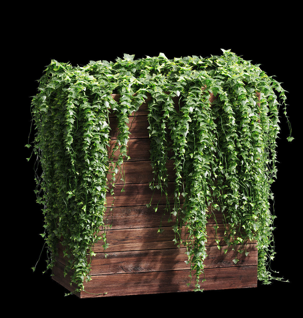 Ivy in tubs - a set of 4 models 3D model_3