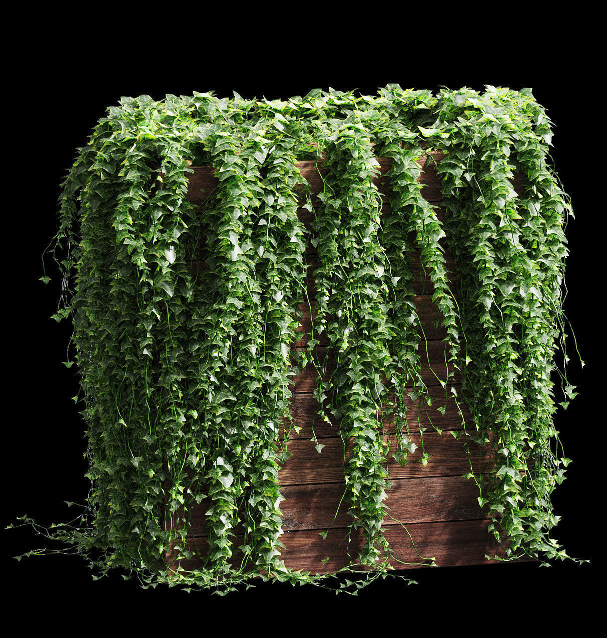 Ivy in tubs - a set of 4 models 3D model_1