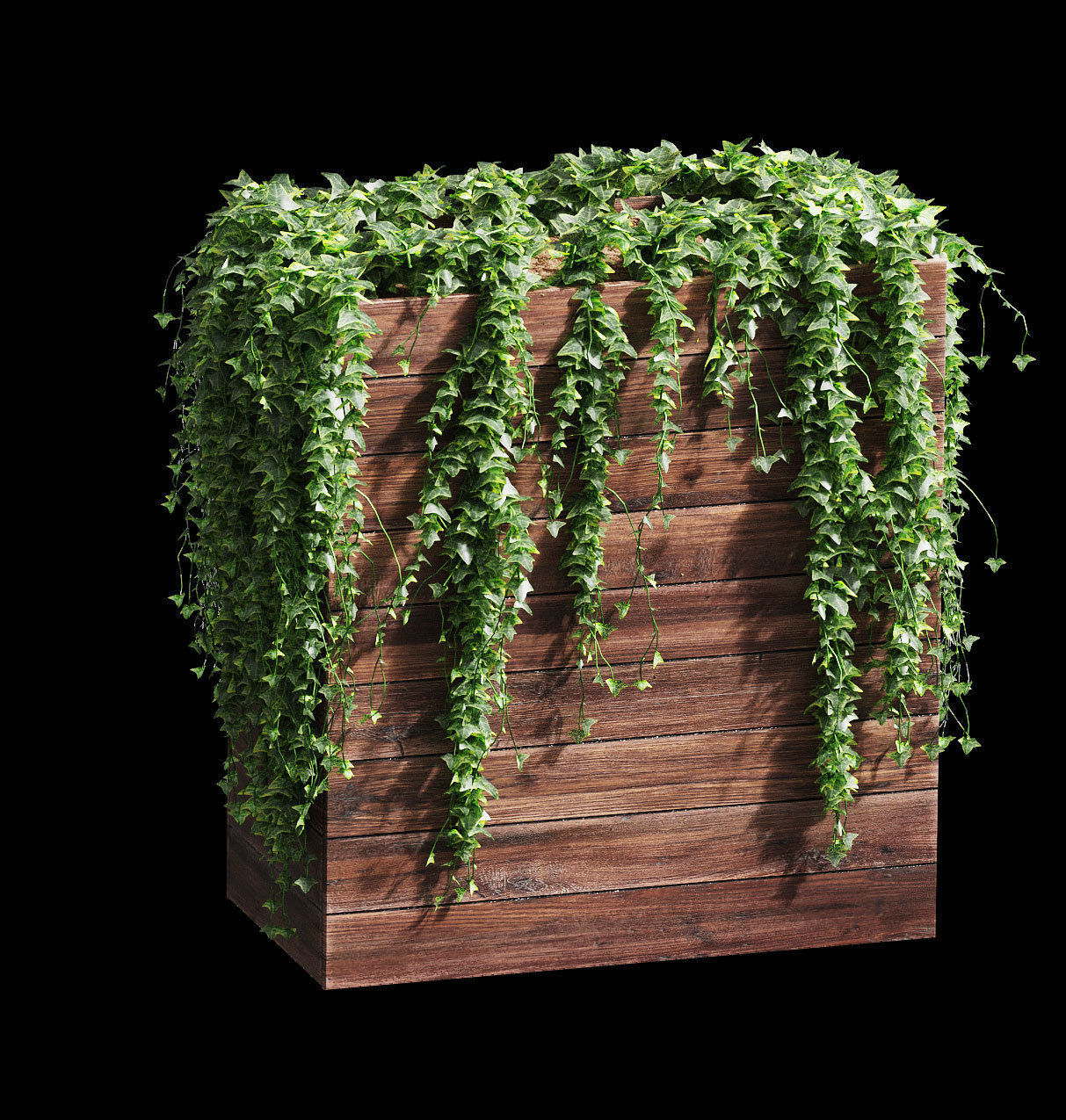 Ivy in tubs - a set of 4 models 3D model_4