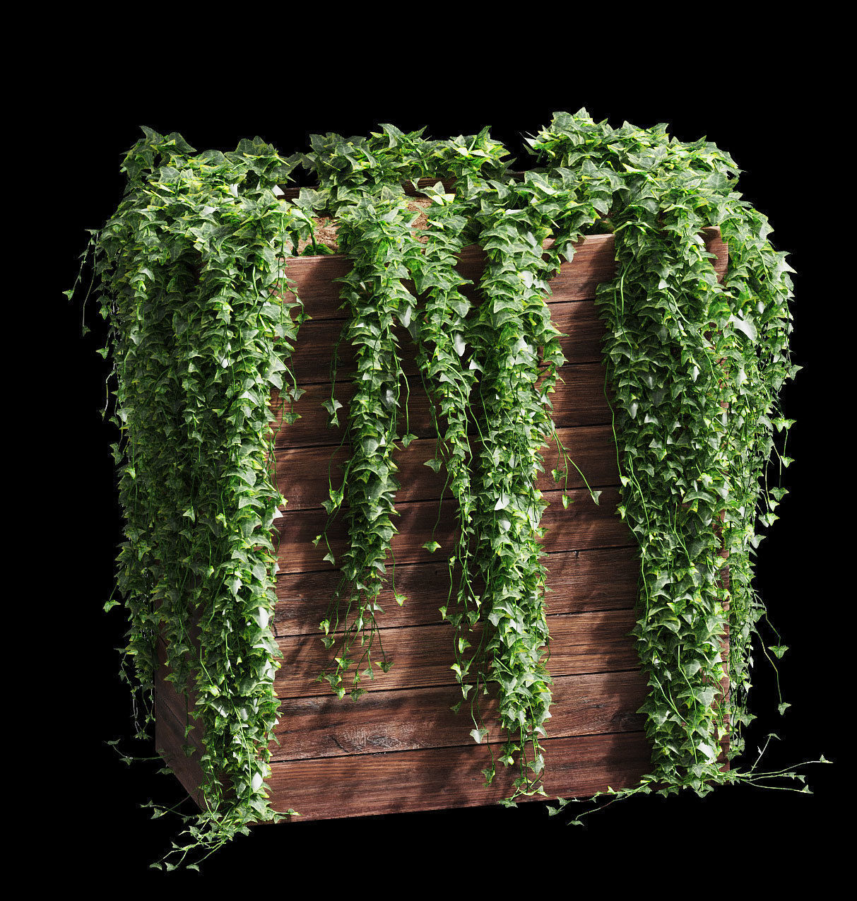 Ivy in tubs - a set of 4 models 3D model_2