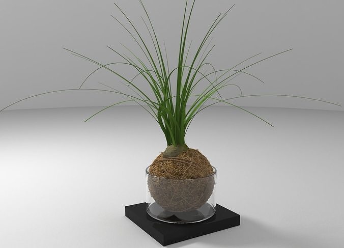 Ball Plant  Free 3D model