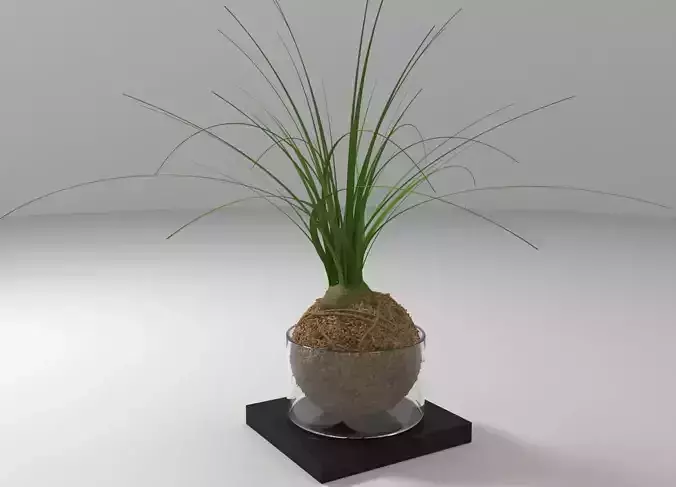 Ball Plant  Free 3D model