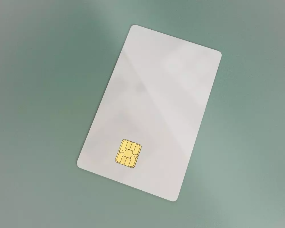 Credit Card 3D model_0