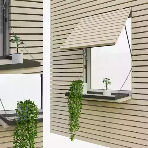 Shutters 3 window with plant in it