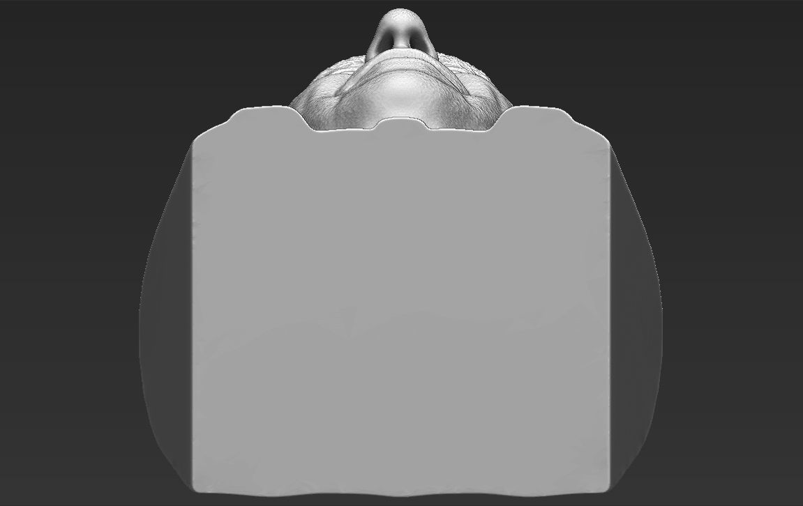 Prince Charles bust 3D printing ready stl obj formats 3D print model_26