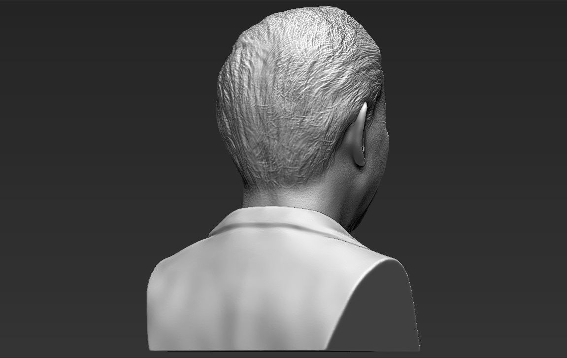 Prince Charles bust 3D printing ready stl obj formats 3D print model_8