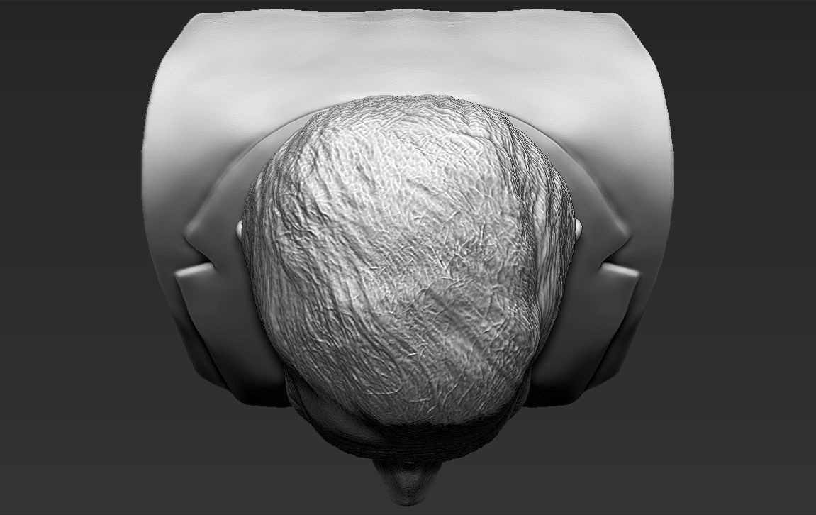 Prince Charles bust 3D printing ready stl obj formats 3D print model_22