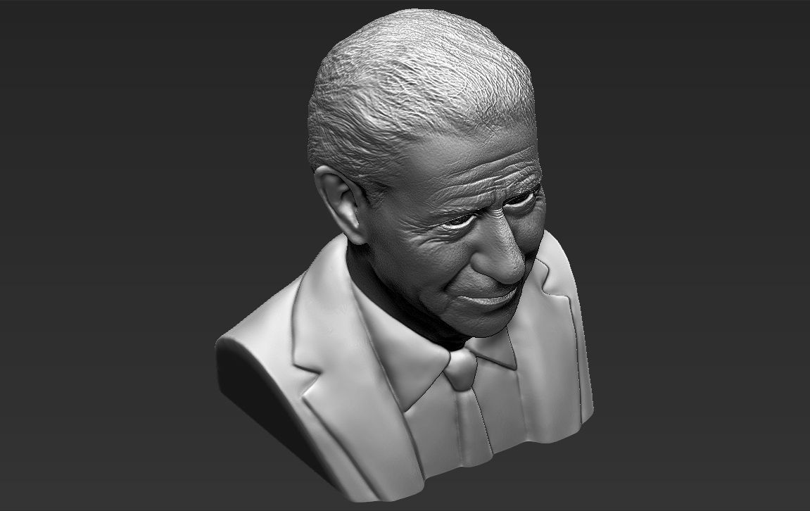 Prince Charles bust 3D printing ready stl obj formats 3D print model_19