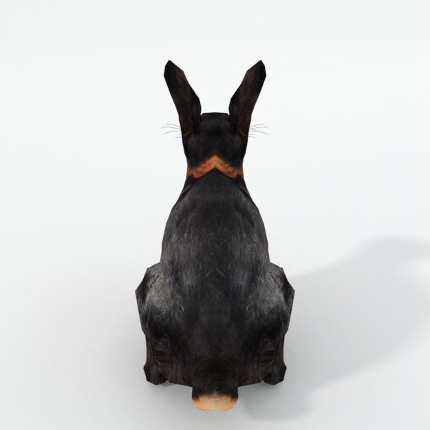 Tan Rabbit Low-poly 3D model_1