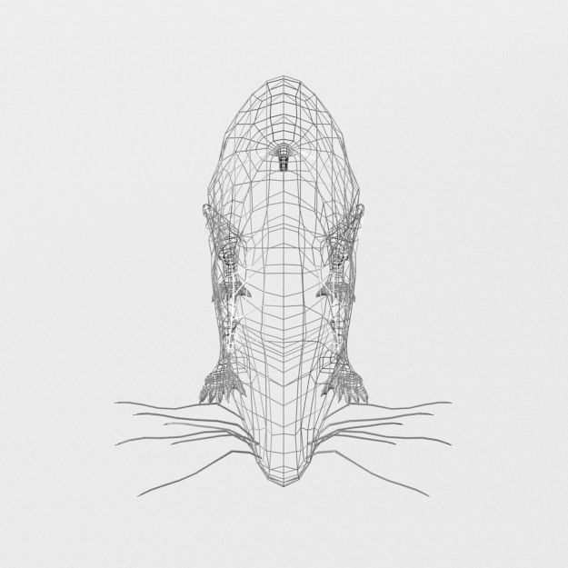 Opossum Low-poly 3D model_6