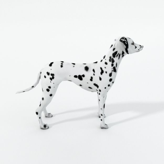 Dalmatian dog Low-poly 3D model_3